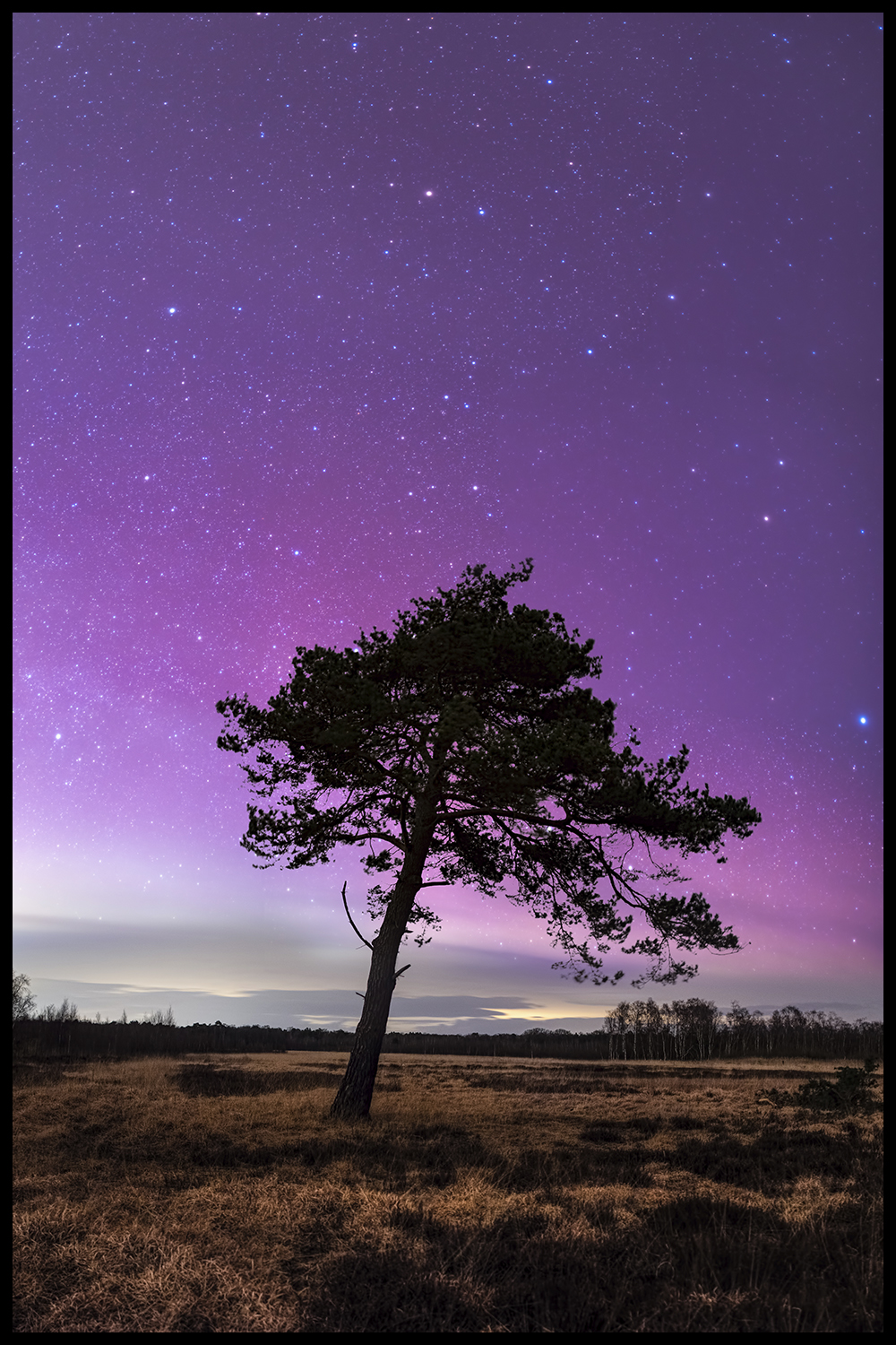 Aurora - Nr. 1/30