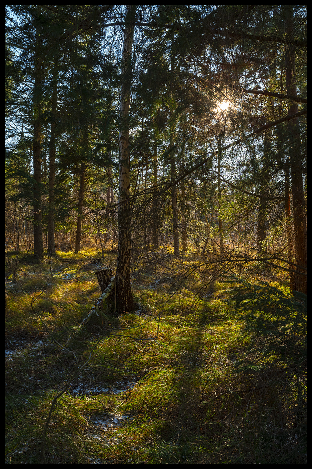 Farvel vinter - Nr. 1/30