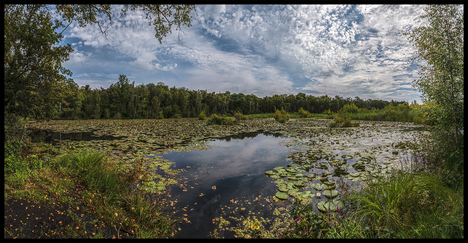Borremosen i solskin - Nr. 1/30