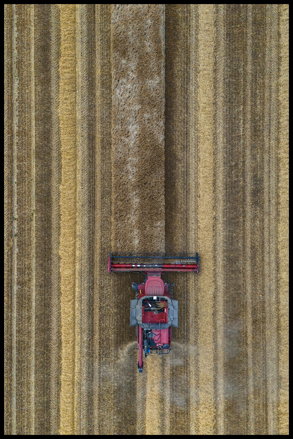 Den sidste barbering - Nr. 1/30