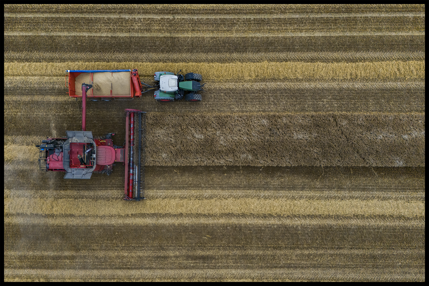 Koordination - Nr. 1/30