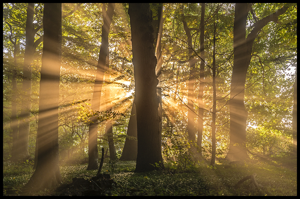Halskov Vænge - Nr. 1/30