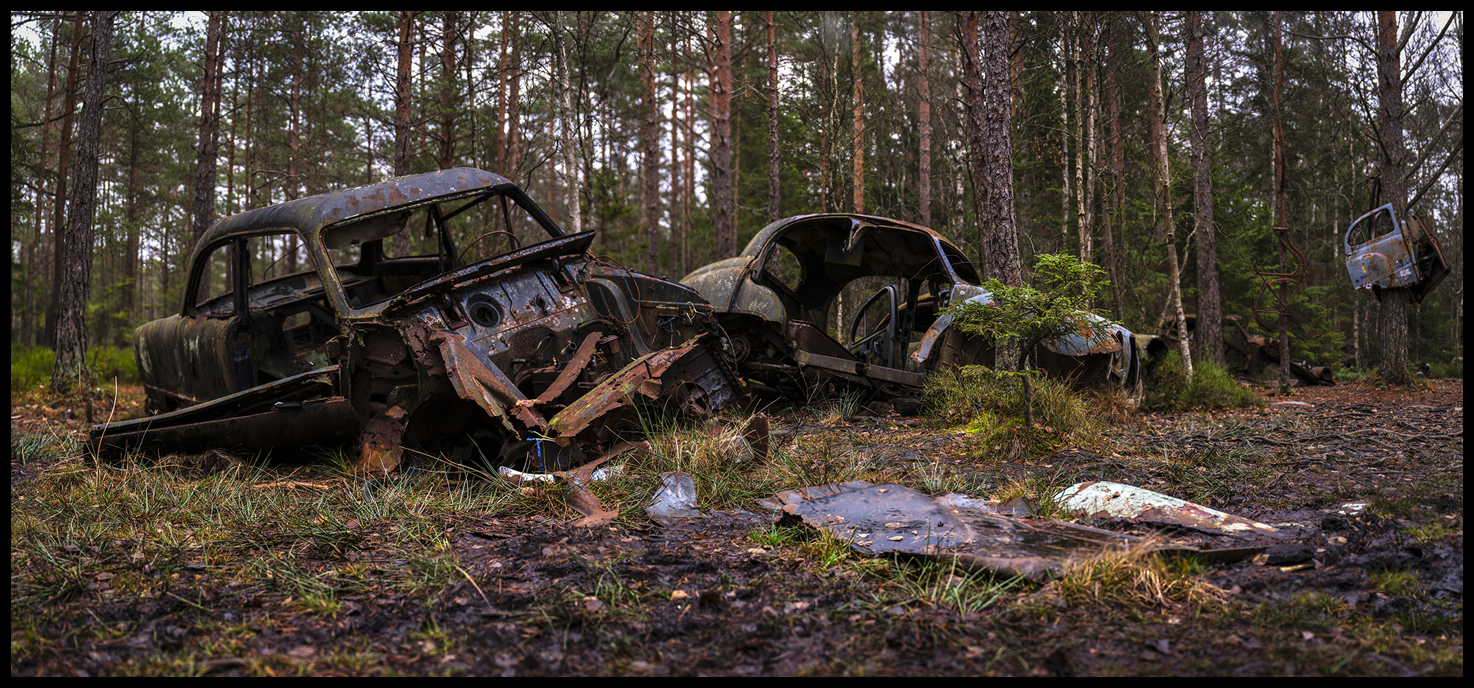 Cars on parade - UNIKA