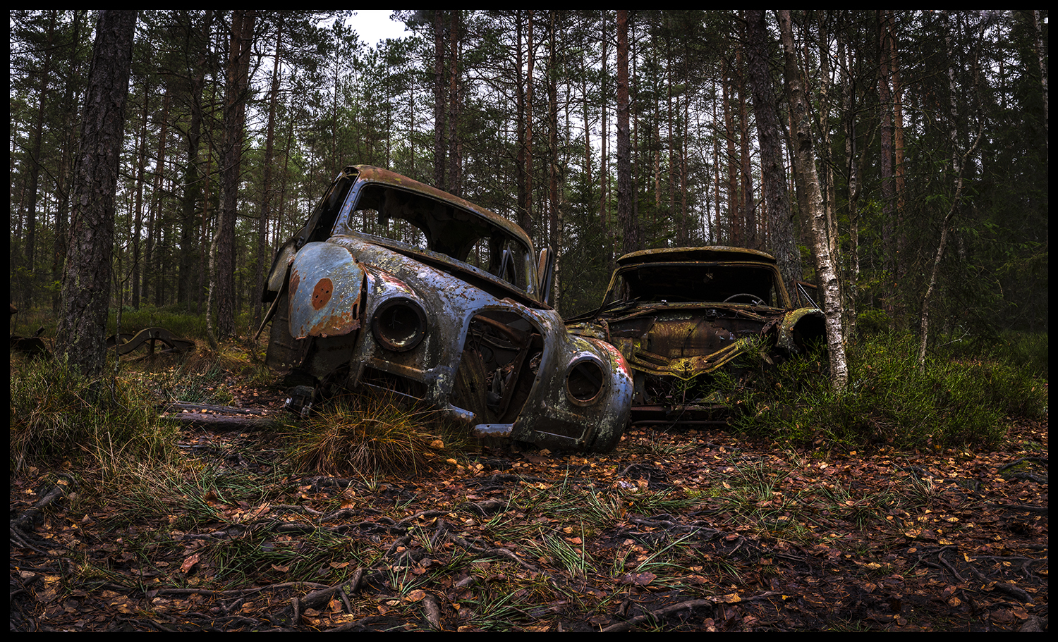 What a pair - Nr. 1/30