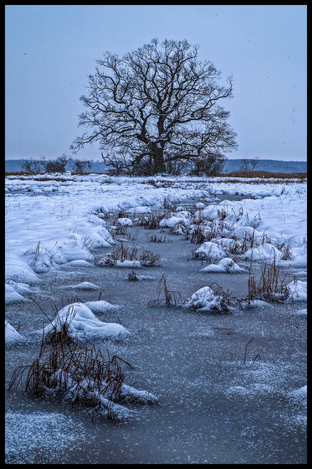 Skejten om vinteren - Nr. 2/30